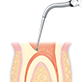 Endodontics/E15D -varios2